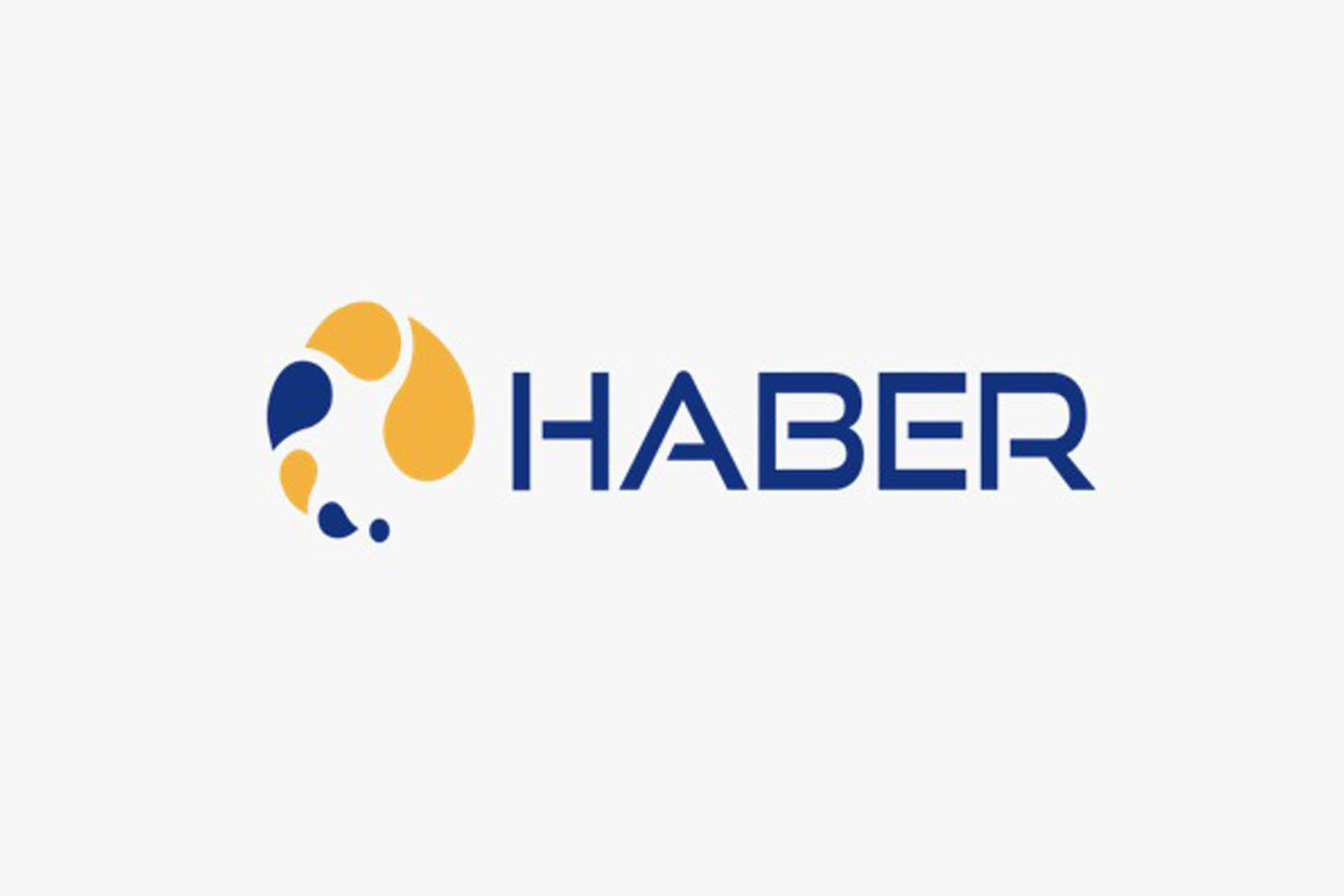 haber furthers ai for industrial sustainability with usd $20 million from series b - rd times business